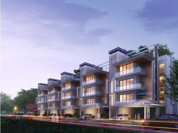  anbalaya palacio Elevation