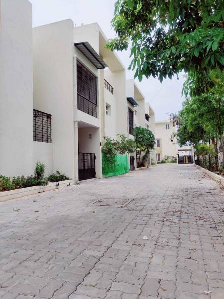  camellia Internal Roads