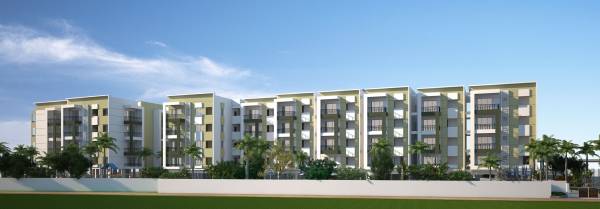  nature Images for Project