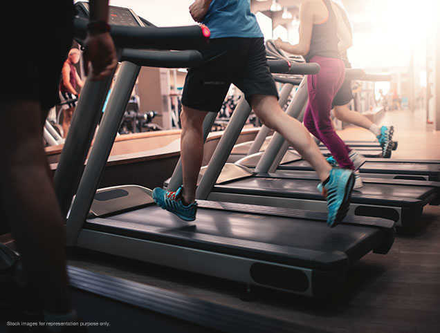  northern lights Gymnasium