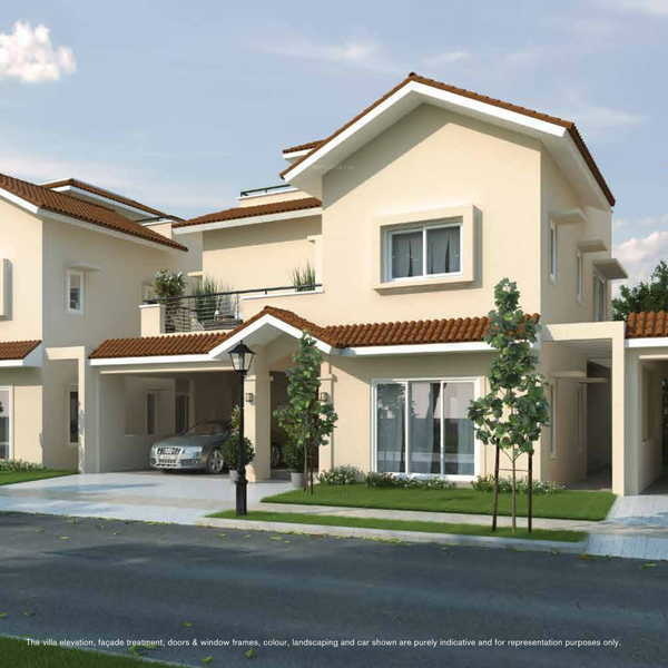  wisteria phase 1 Elevation