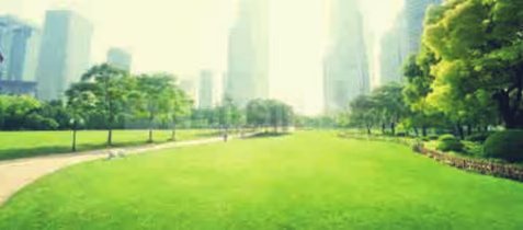  north imperia tower 1 Landscaped Gardens