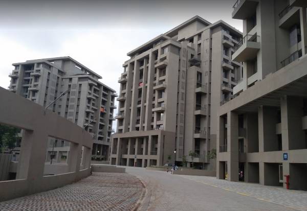 Elevation songbirds-phase-e Elevation