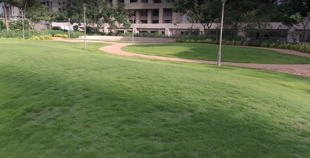  songbirds phase e Landscaped Gardens