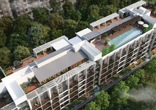 Images for Elevation of Land Capital Primero