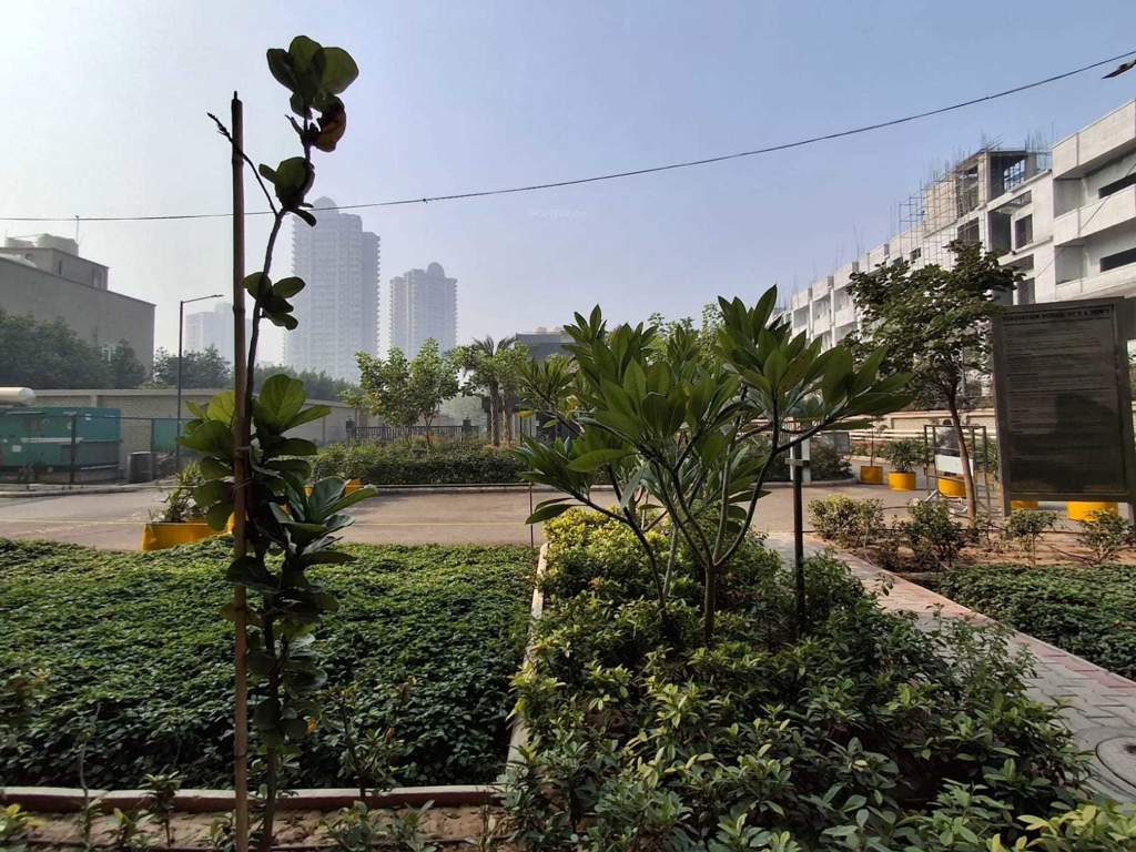  fusion homes Landscape Garden and Tree Planting