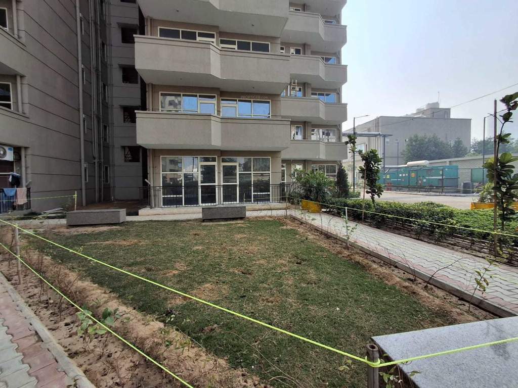  fusion homes Landscape Garden and Tree Planting