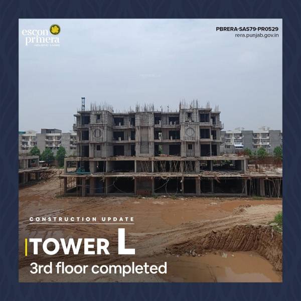  escon-primera Construction Status July-22