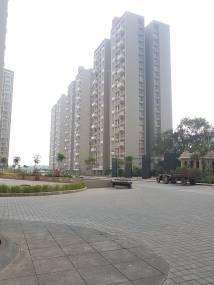 Images for Elevation of Lodha Belmondo Sawgrass A Images for Elevation of Lodha Belmondo Sawgrass A