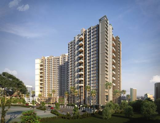 pristo Elevation Elevation