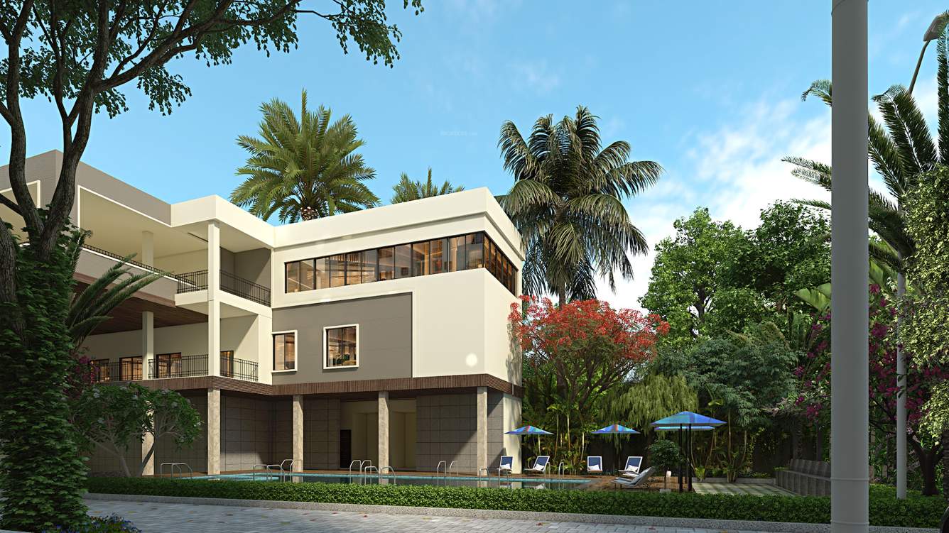  northern lights Club House