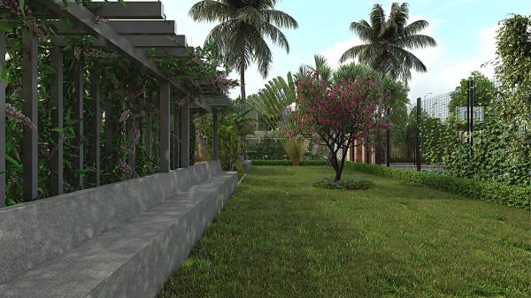  northern-lights Others