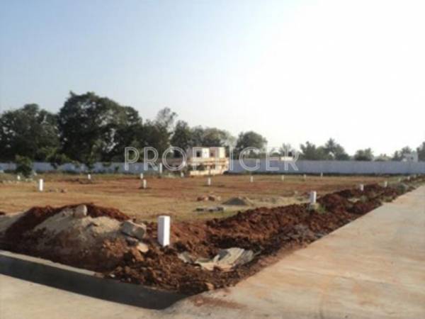 Construction Status Feb-21 indus Construction Status Feb-21