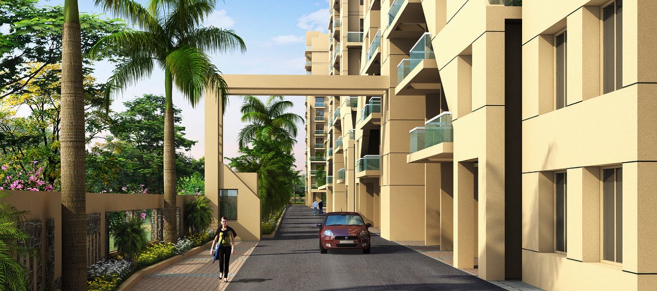  starvie c bulding Others