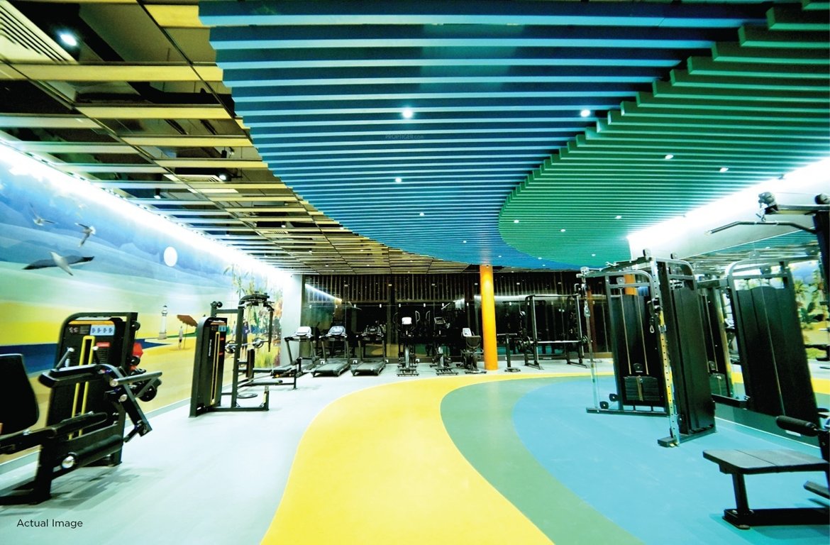  joyville phase 5 Gymnasium