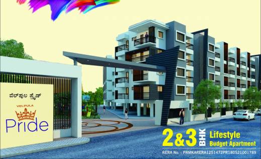 pride Elevation Elevation