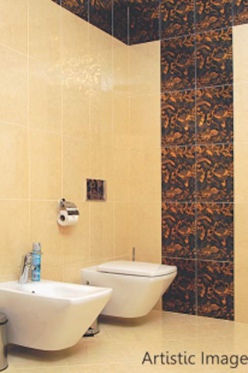  keshav srushti Bathroom