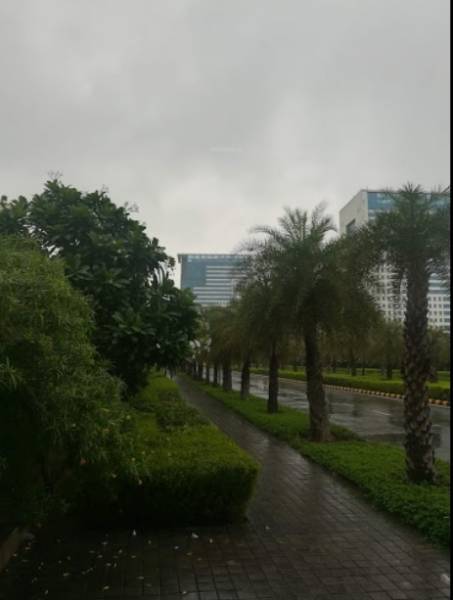  corporate-greens Paved Compound