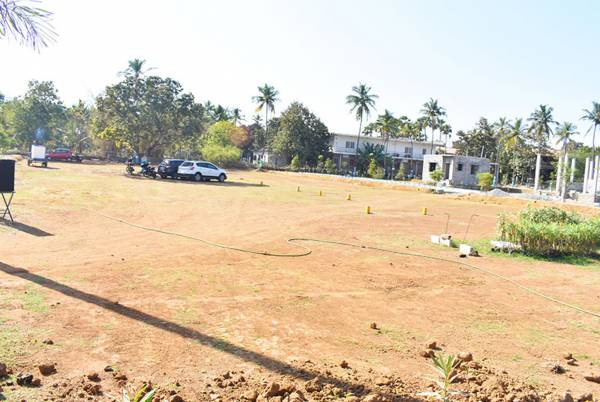 Images for Elevation of Premier MRP Green Homes