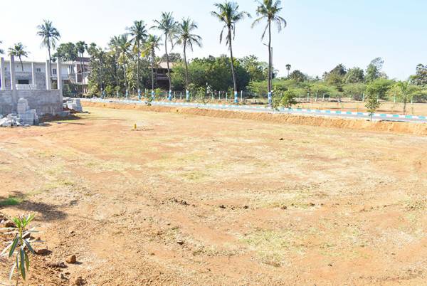 Images for Main Other of Premier MRP Green Homes