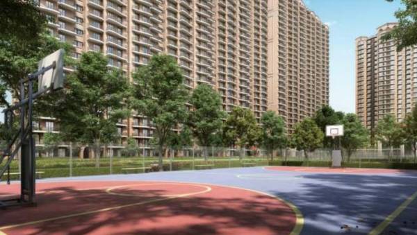 Basketball Court pious-hideaways Basketball Court