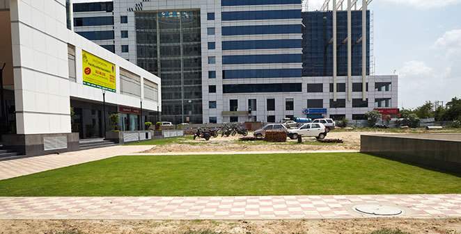  corporate park Landscape Garden and Tree Planting