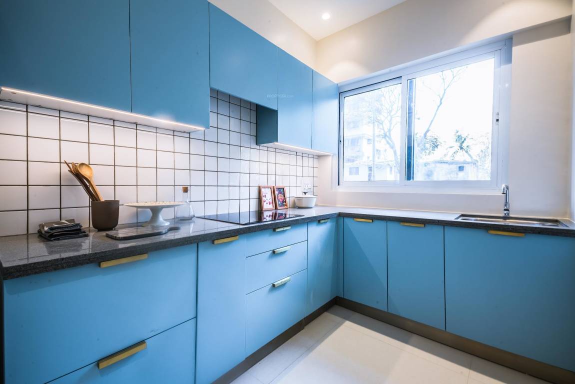  siennaa wing b Images for mainOther