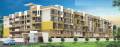 Jai Infra Galaxy