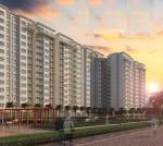 Images for Elevation of Provident Park Square 4