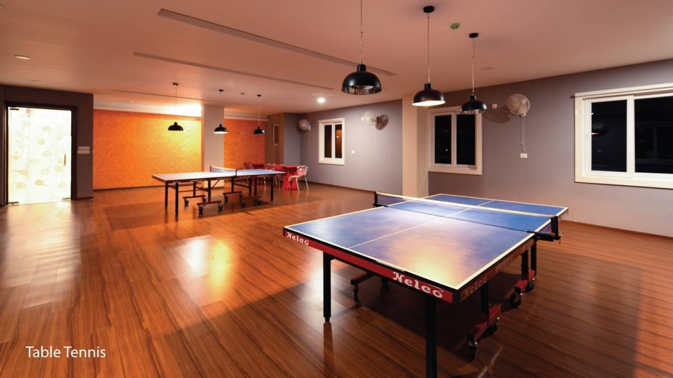 central park Table Tennis