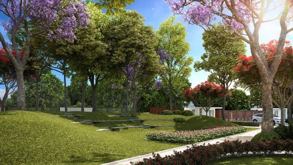 Images for Amenities of Capstone Life Flowing Tree