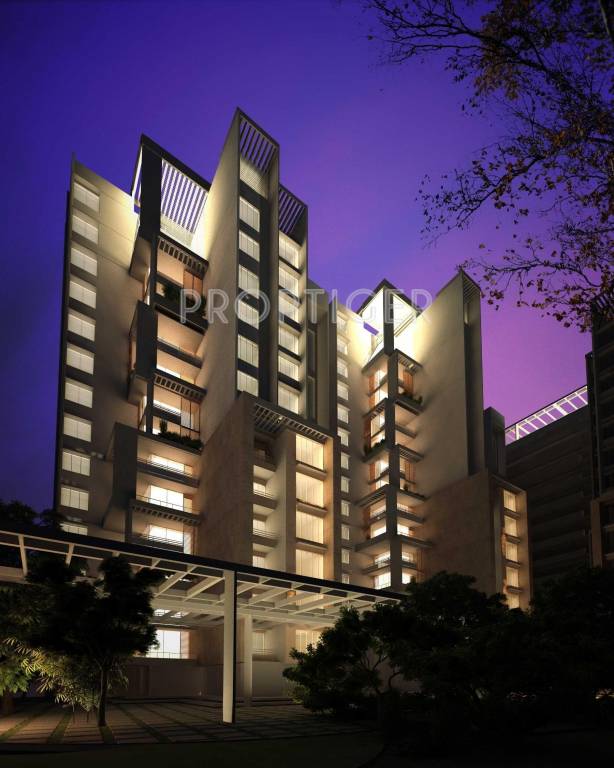 Images for Elevation of Golden Orchids