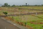 Tellus Avenue Extn