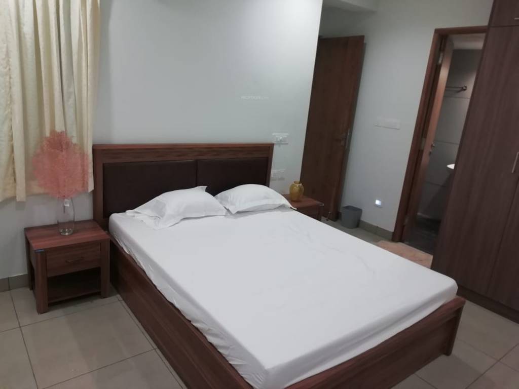 Images for mainOther