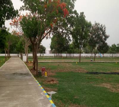 Images for Main Other of Wisdom Sri Sai Garden