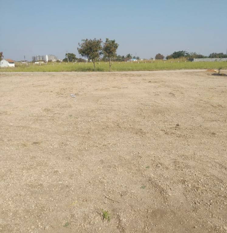 Images for Construction Status of Castle Empire Garden