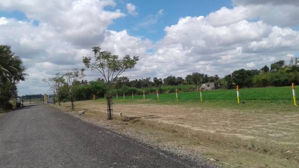 Images for Main Other of Wisdom Sri Sathya Sai Nagar