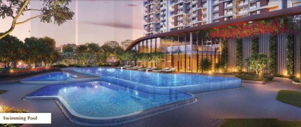  orion-northern-lights Others