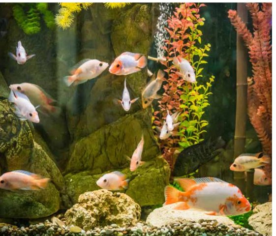 Images for amenities