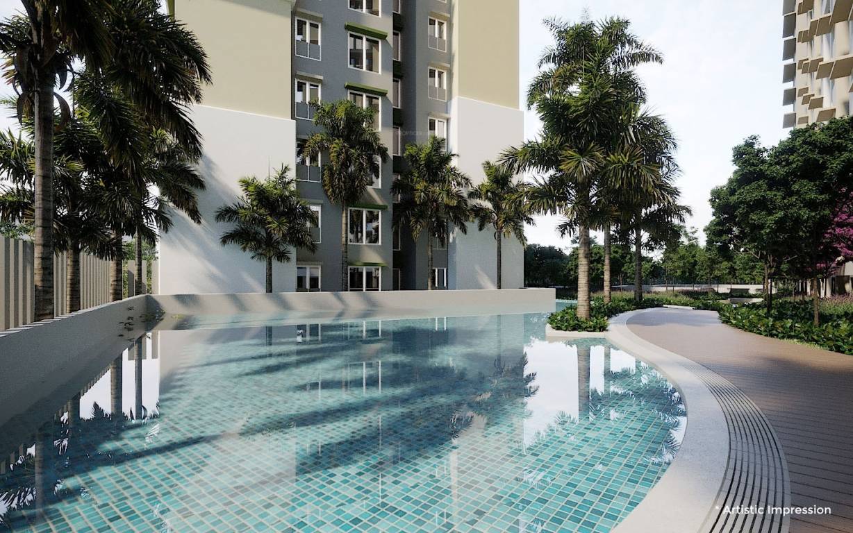  next wing a Swimming Pool