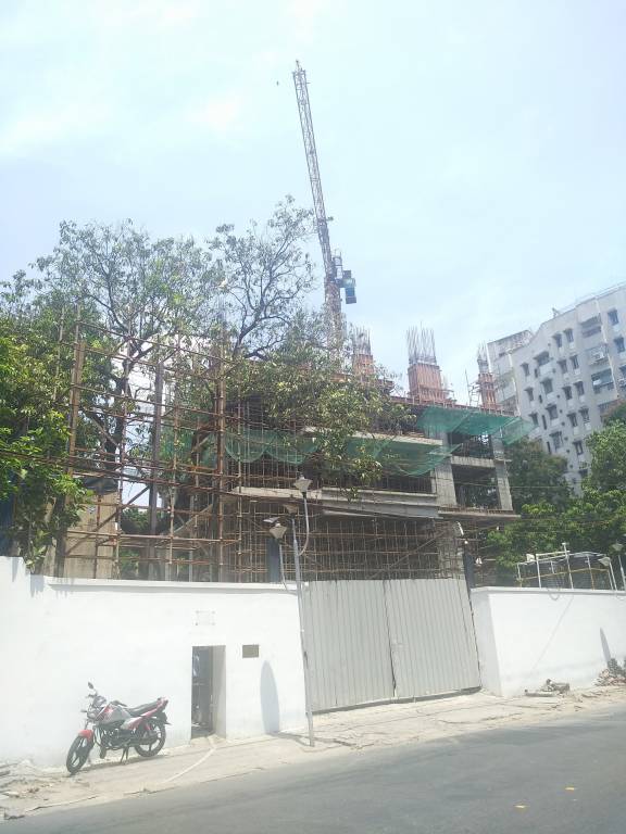 altamira Construction Status July 25