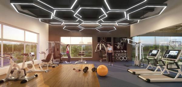 Gymnasium altamira Gymnasium