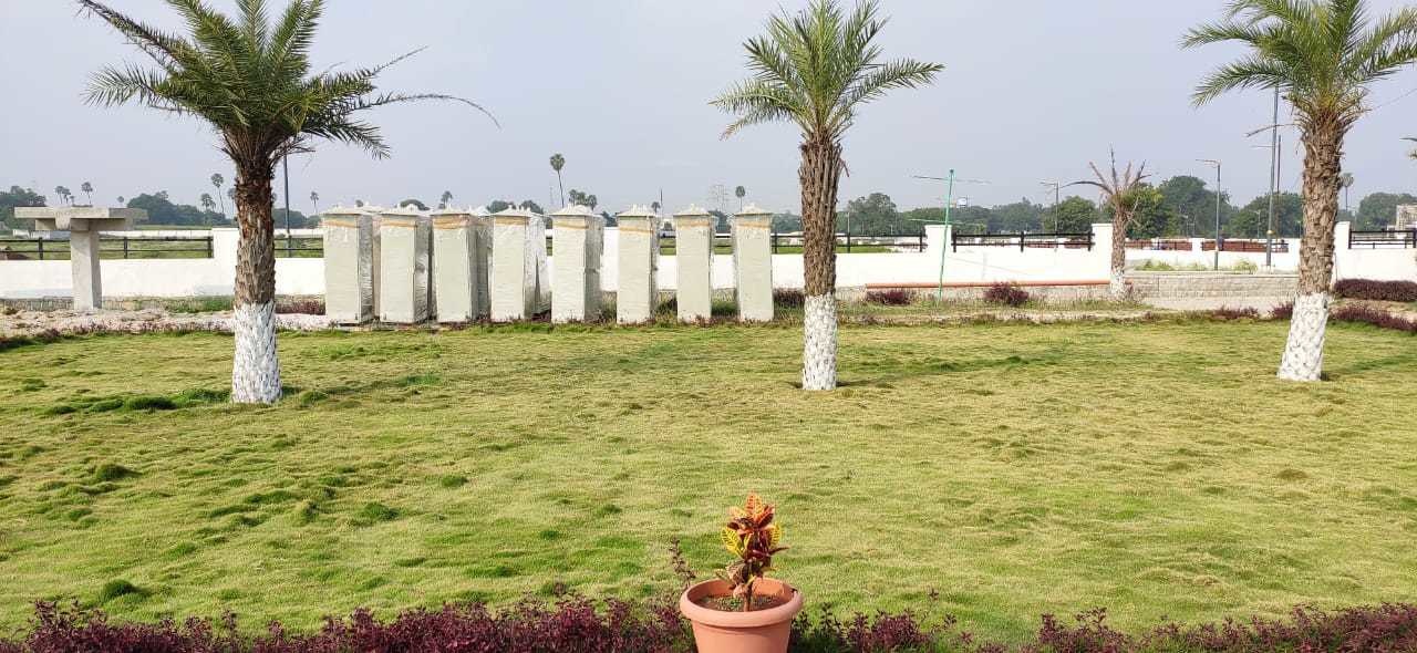 Images for mainOther