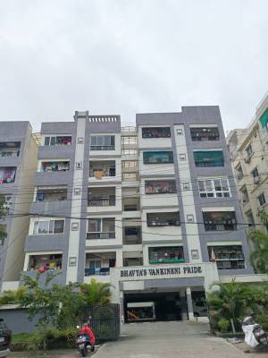 s-vankineni-pride Elevation Elevation