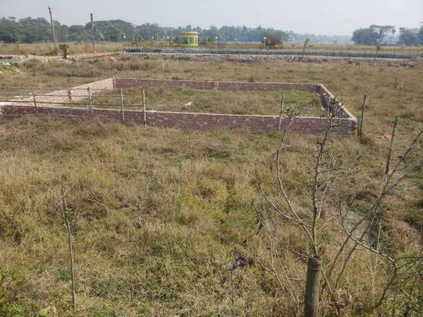  dream-city-kolkata Others