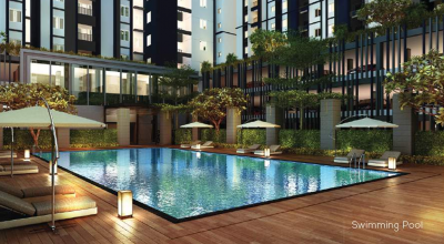  ashraya Swimming Pool