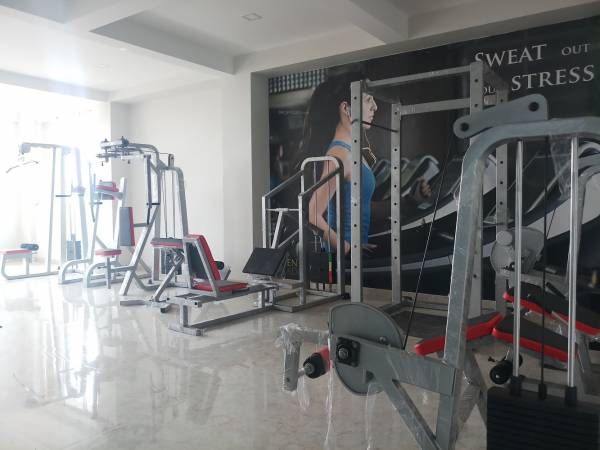  green-paradise-b-wing Gymnasium