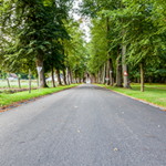 Others  green-park-a Others