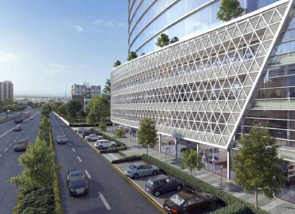  penninsulla Landscape Garden and Tree Planting