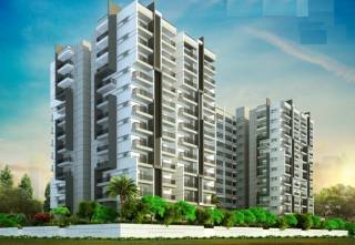 Project Image Project Image